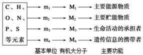 作业帮