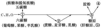 作业帮