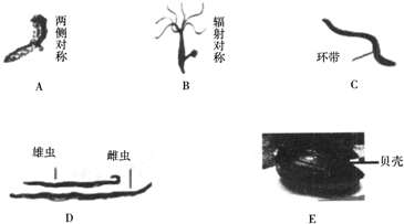 作业帮