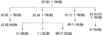 作业帮