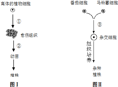 作业帮