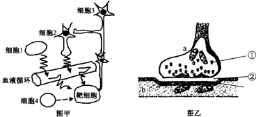 作业帮