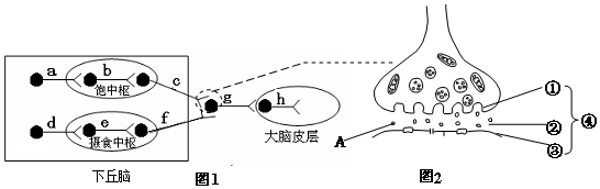 作业帮