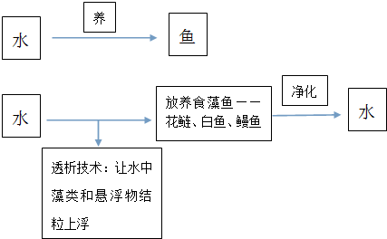 作业帮