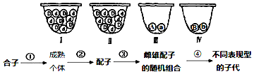 作业帮