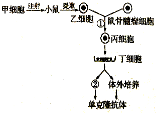 作业帮