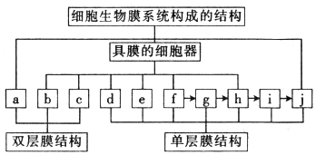 作业帮