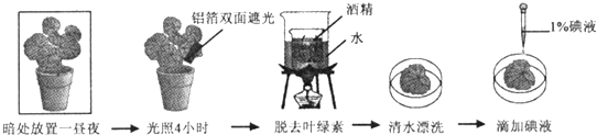 作业帮