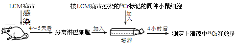 作业帮