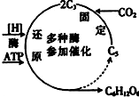 作业帮