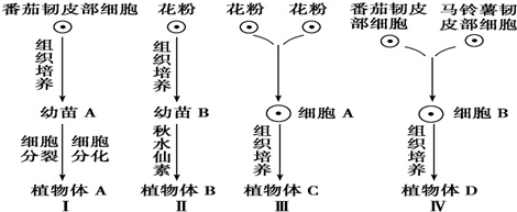 作业帮