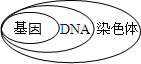 作业帮