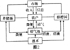 作业帮