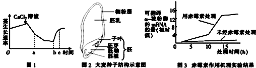 作业帮