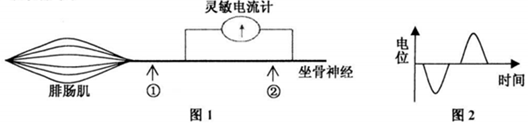 作业帮