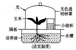 作业帮