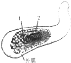 作业帮