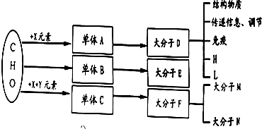 作业帮