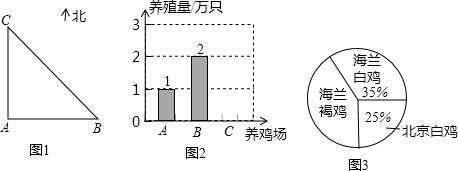 作业帮