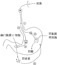 作业帮