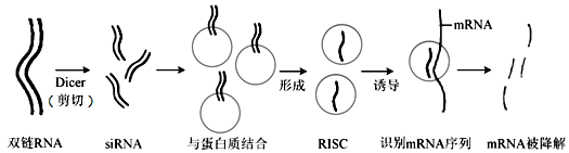 作业帮