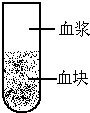 作业帮