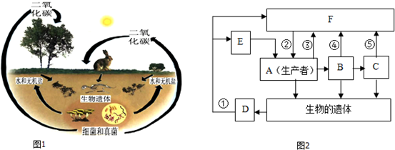 对照图1分析生态系统物质循环示意图图2回答下面的问题