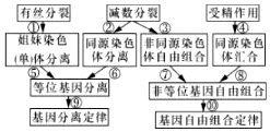 作业帮