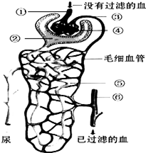 作业帮