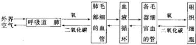 作业帮