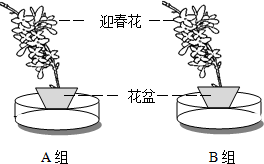 作业帮