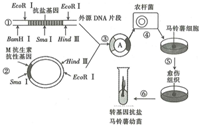 作业帮