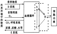 作业帮