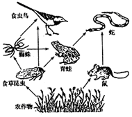 作业帮