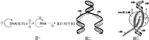 作业帮