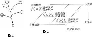 作业帮