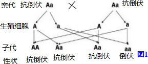 作业帮