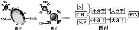 作业帮