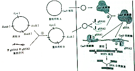 作业帮