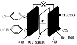 作业帮