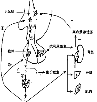 作业帮