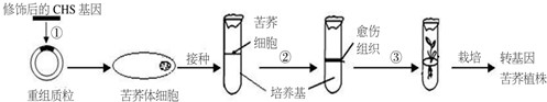 作业帮