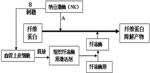 作业帮