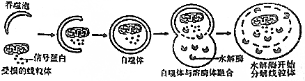 作业帮