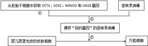 作业帮