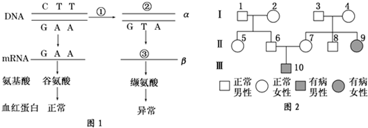 作业帮