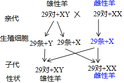 作业帮