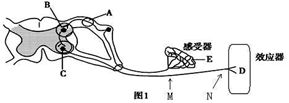 作业帮