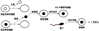 作业帮