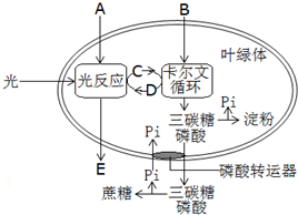 作业帮